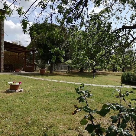 Agriturismo Podere Selvette Campagnatico Экстерьер фото