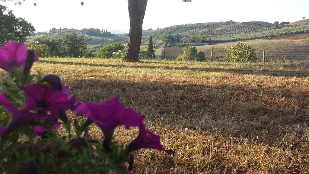Agriturismo Podere Selvette Campagnatico Экстерьер фото