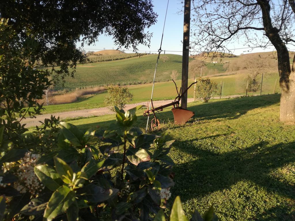Agriturismo Podere Selvette Campagnatico Экстерьер фото