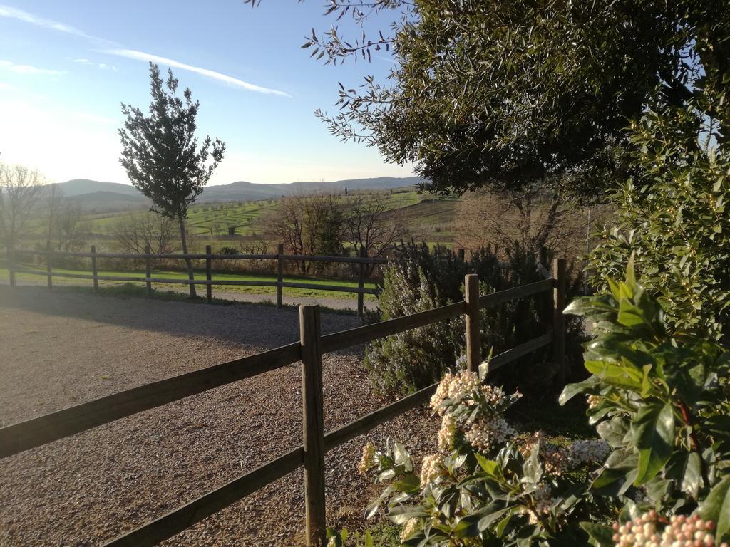 Agriturismo Podere Selvette Campagnatico Экстерьер фото